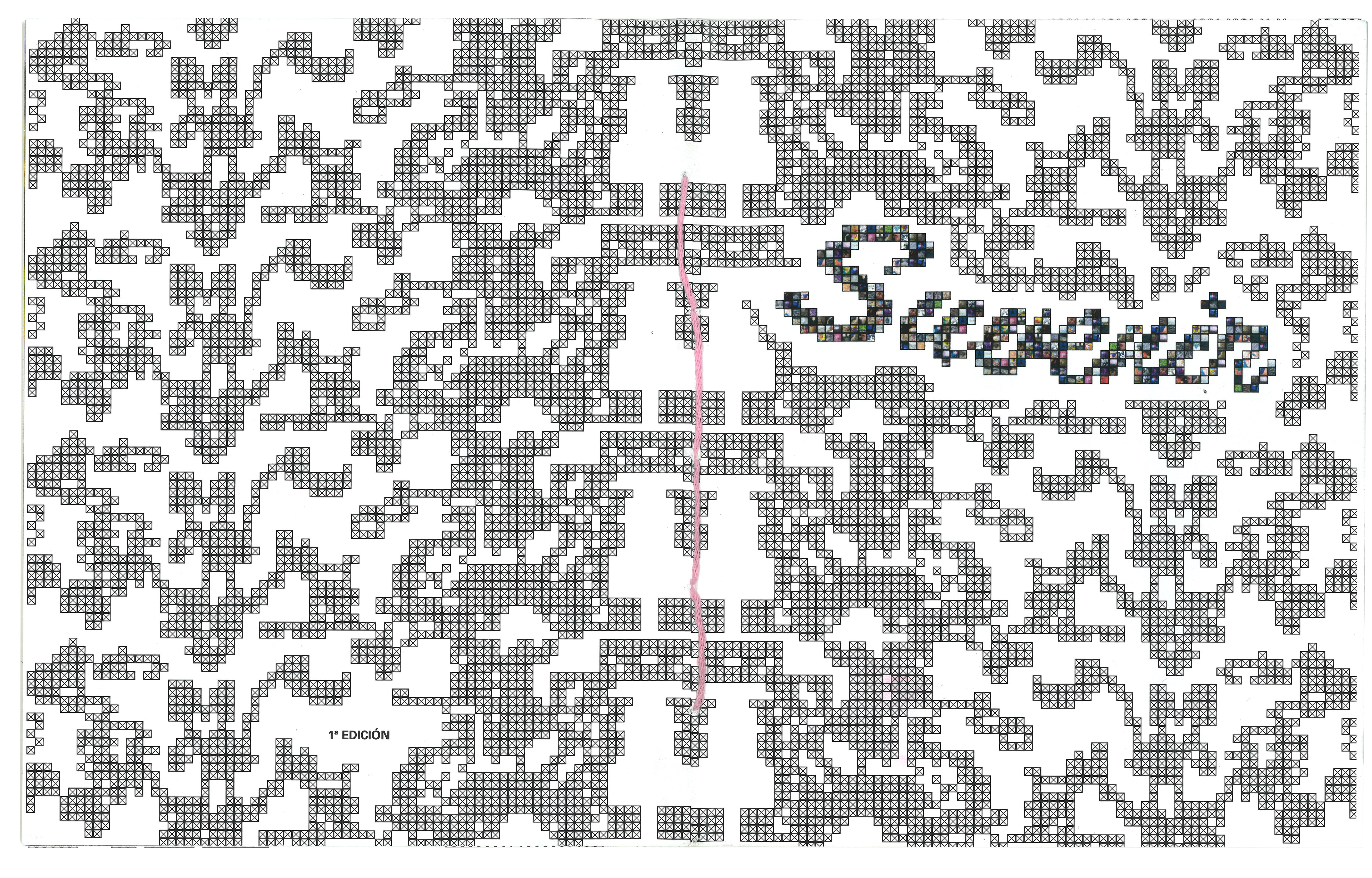 descripcion de las fotos